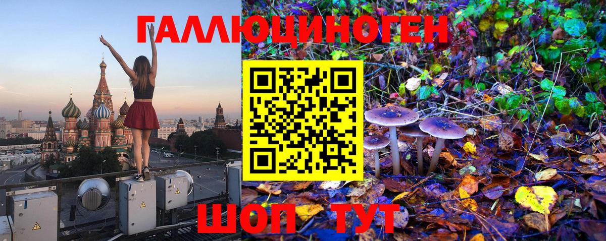 Псилоцибиновые грибы мицелий Новый Уренгой
