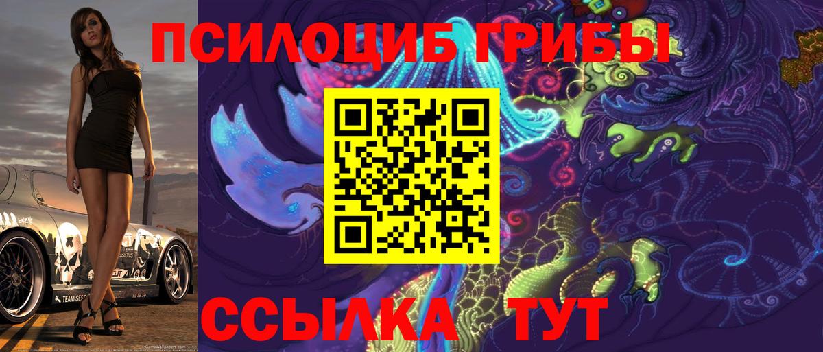 Новый Уренгой  Галлюциногенные грибы MAGIC MUSHROOMS  Вход с VPN 
