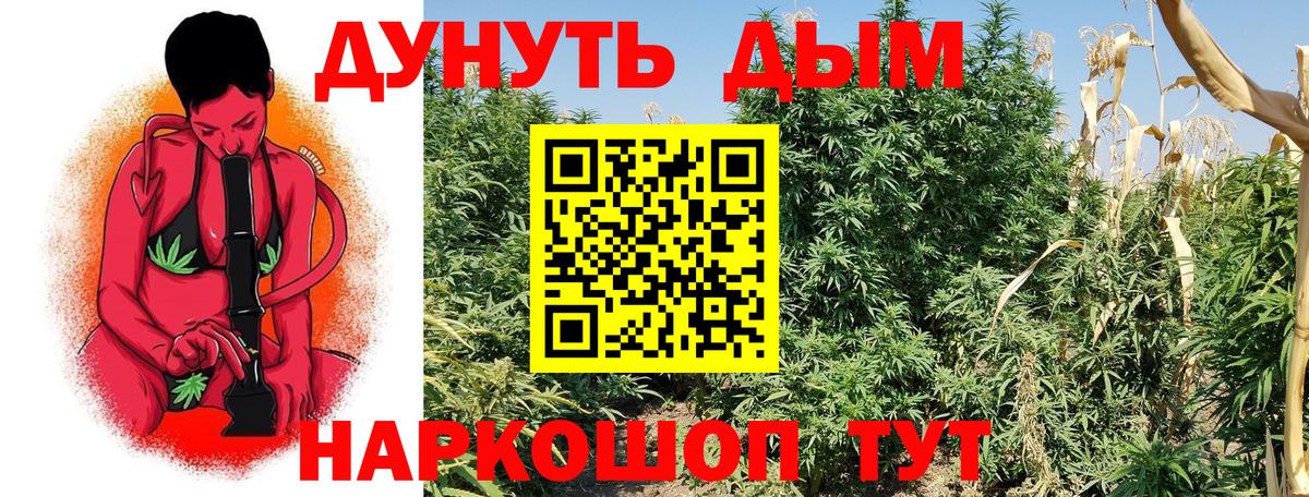 Бошки марихуана семена  Вход с VPN  МАРИХУАНА гибрид  Новый Уренгой  Бошки марихуана LSD WEED 